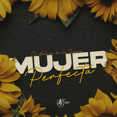 Mujer Perfecta (En Vivo) album art