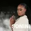 Sonini album artwork