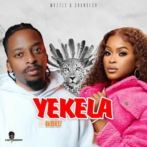 Yekela album art