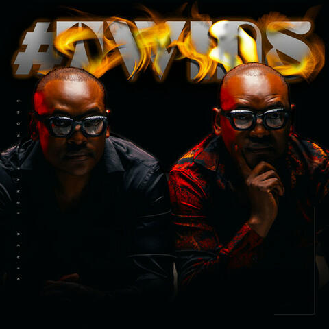 Shona Phansi (Remix) album art