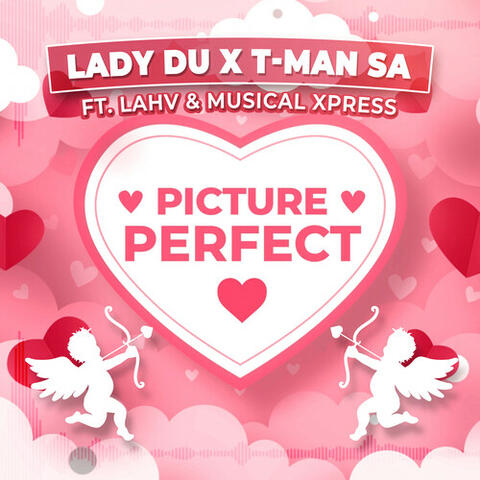Picture Perfect album art