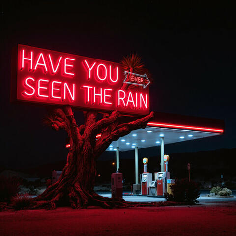 Have You Ever Seen the Rain album art