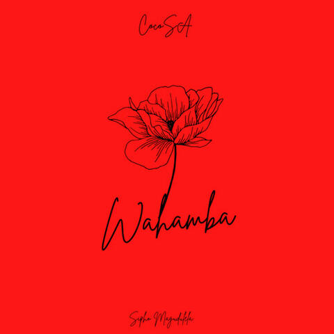 Wahamba album art
