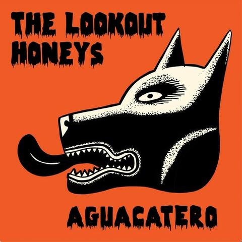 Aguacatero album art