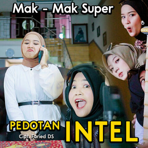 Pedotan Intel album art