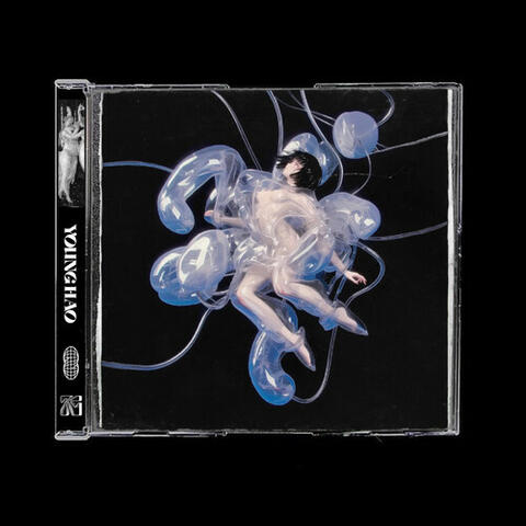 Có Thấy Nhớ album art