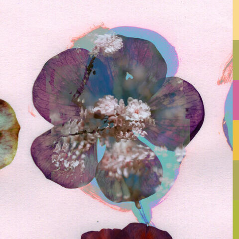 Motion album art