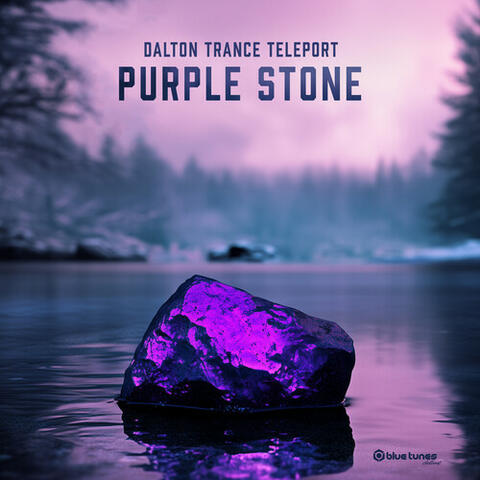 Purple Stone album art