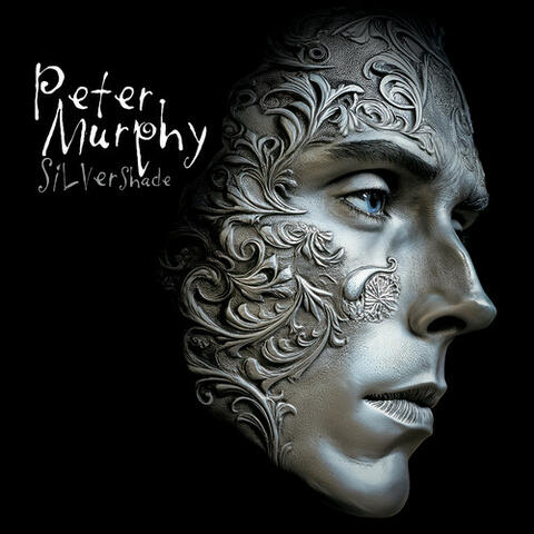 Silver Shade album art
