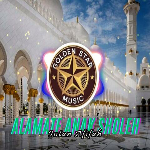 Alamate Anak Sholeh album art