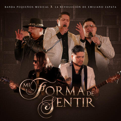 Mi Forma De Sentir album art
