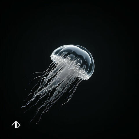 Hurricane album art