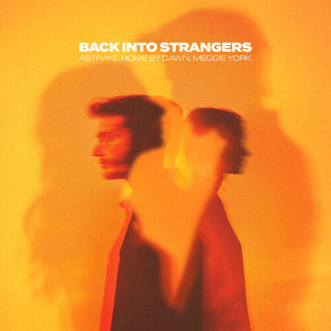 Back Into Strangers album art