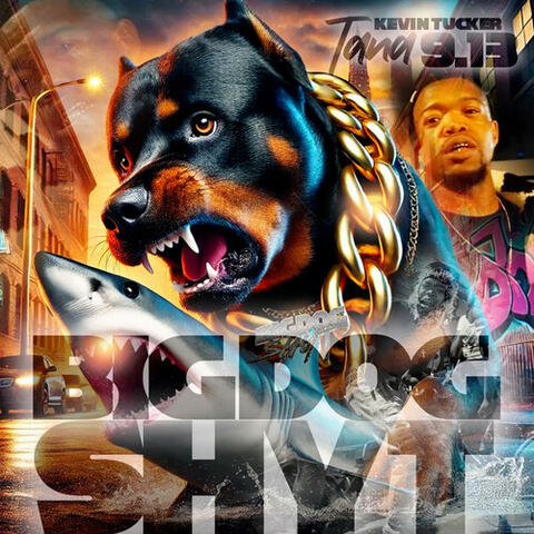 Big Dog Shyt (Clean) album art