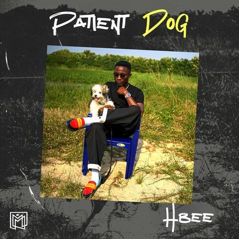 Patient Dog album art