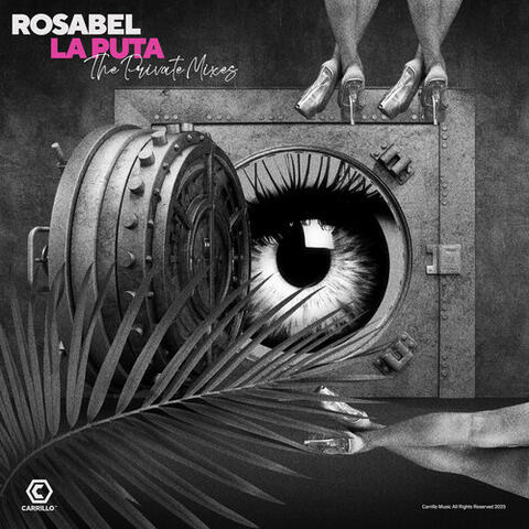 La Puta (The Private Mixes) album art