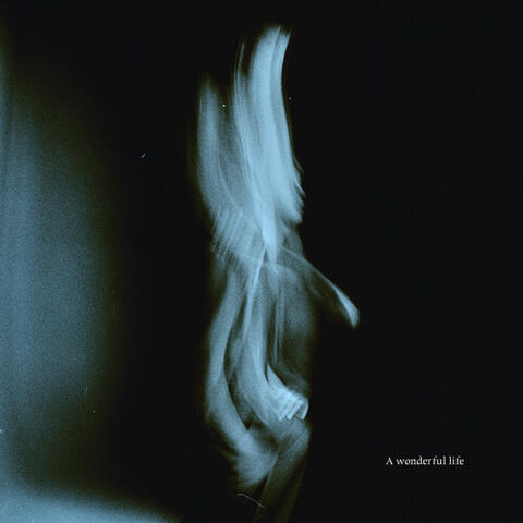 A Wonderful Life album art