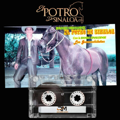 Eulogio Hernandez El Potro de Sinaloa Con la Banda Sinaloense Y Los Guamuchileños album art