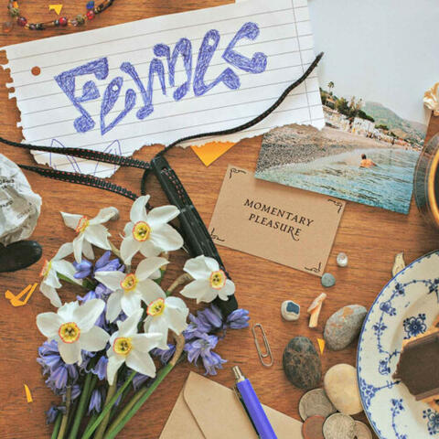 Momentary Pleasure album art