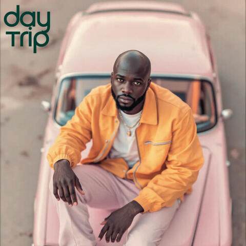 Day Trip album art