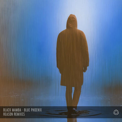 Reason (Remixes) album art