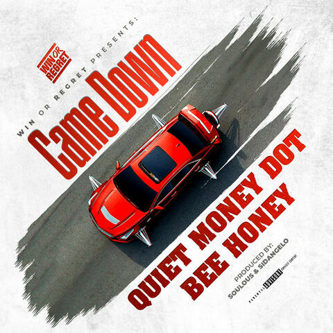 Came Down album art