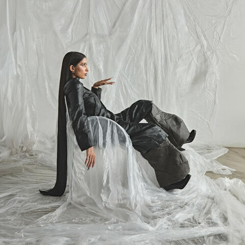 i can’t remember the name of this, but that's ok album art