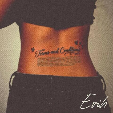 Terms and Conditions album art