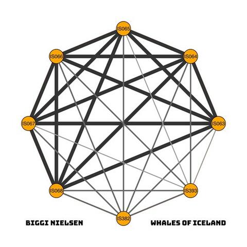 Whales Of Iceland album art