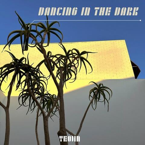 Dancing in the dark album art
