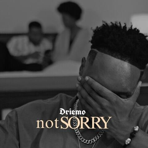 NOT SORRY album art