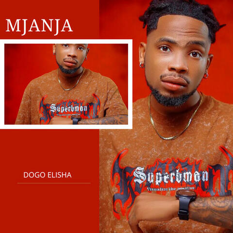 Mjanja album art
