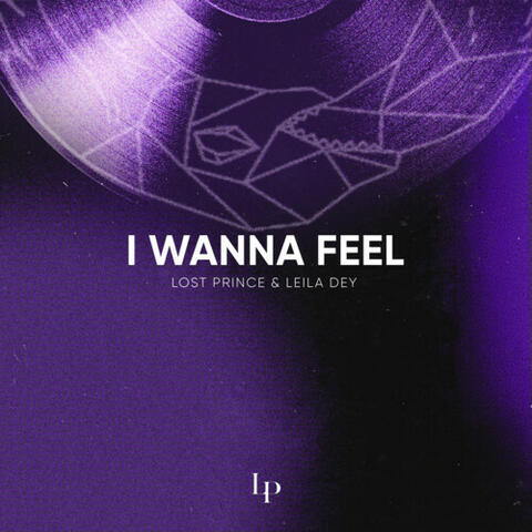 I Wanna Feel album art