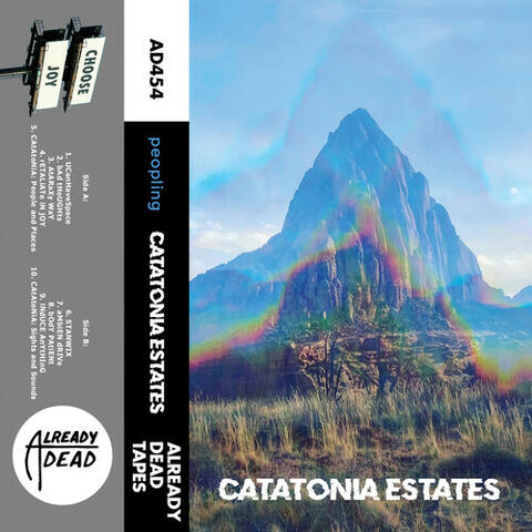 Catatonia Estates album art