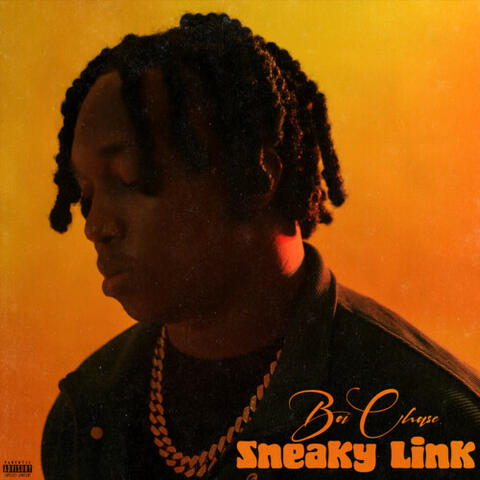 Sneaky Link album art