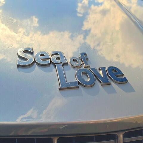 Sea of Love album art