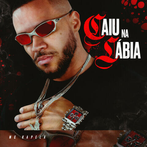 Caiu Na Lábia album art