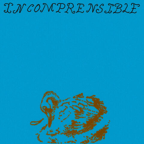 Incomprensible album art