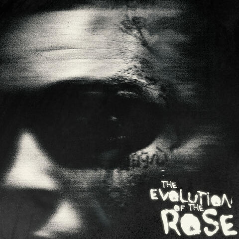 The Evolution of the Rose album art