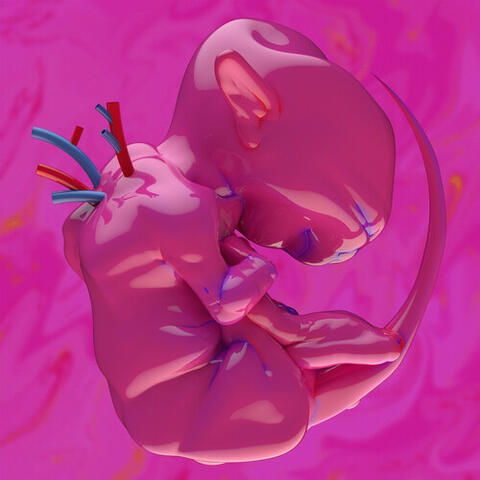 ekkolaptόmenos album art