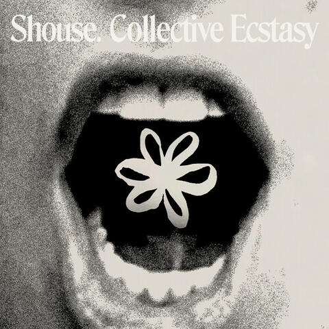 Collective Ecstasy album art