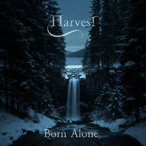 Born Alone album art