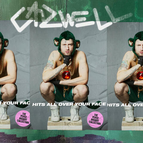 HITS ALL OVER YOUR FACE [The Peace Bisquit Collection] album art