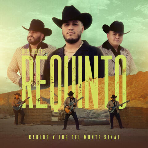 Que Se Escuche Ese Requinto album art