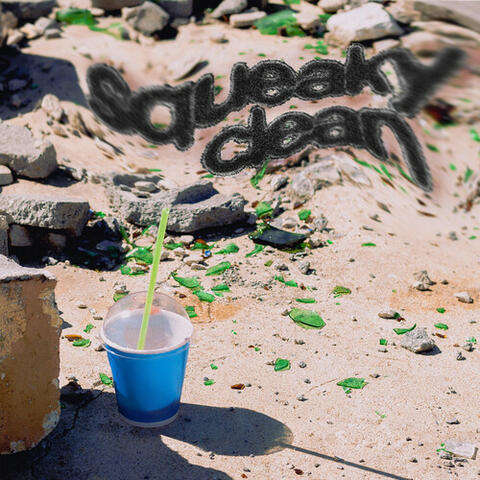 Squeaky Clean album art
