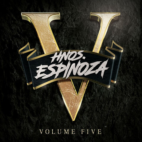 HNOS ESPINOZA, VOL. 5 album art
