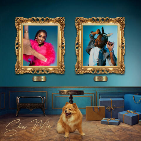 show me album art