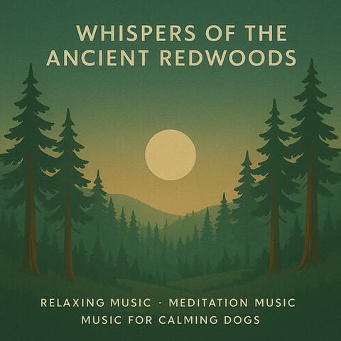 Whispers of the Ancient Redwoods album art