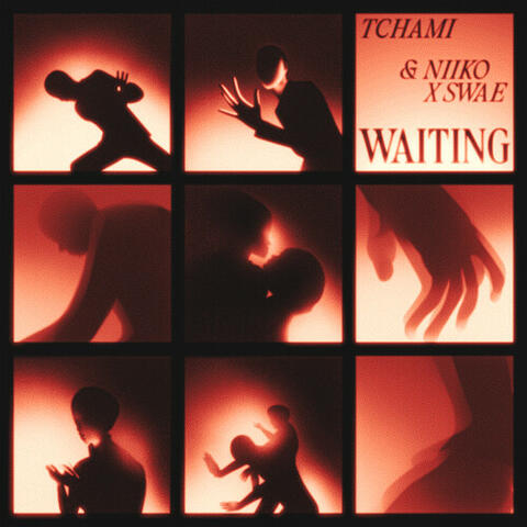 Waiting album art