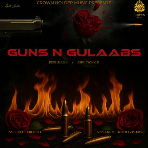 GUNS N GULAABS album art